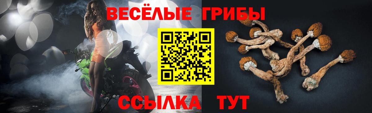 Ессентуки  магазин продажи   Вход с VPN  Псилоцибиновые грибы Cubensis 